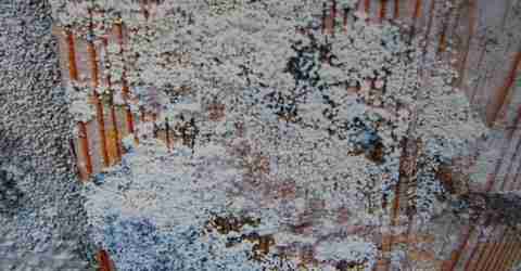 Saint-Brice humidité