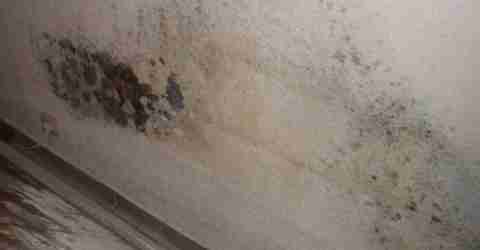 traitements humidité en profondeur