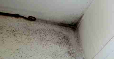 traitements contre l'humidité des murs