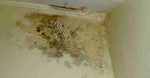 traiter humidité revêtement mur