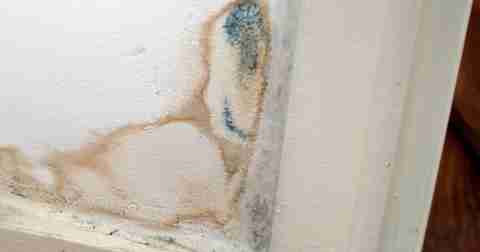 logement insalubre