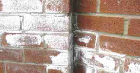 efflorescences de sels murs