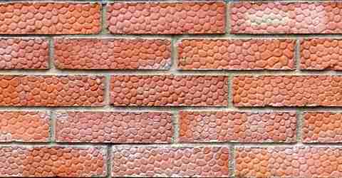 efflorescences murs en briques
