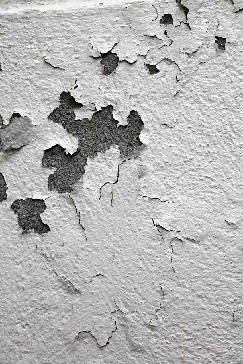 maison différents types désordres mur