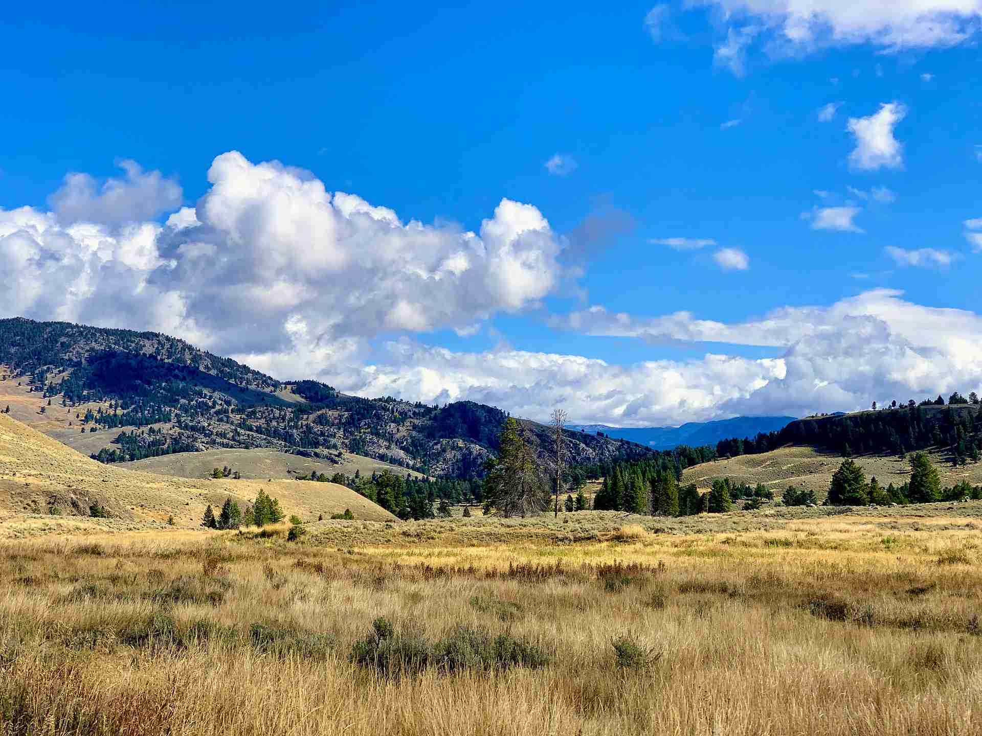 conseils achat terrain