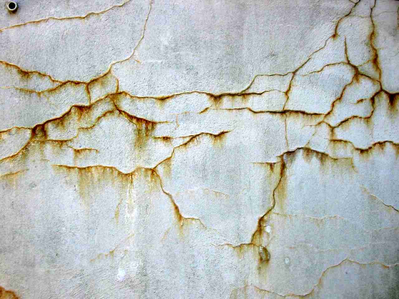 que faire cas apparition fissures