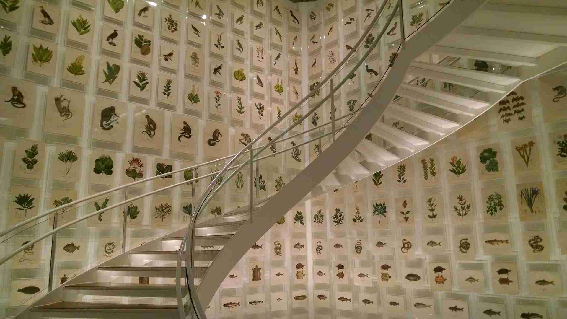 escalier maison