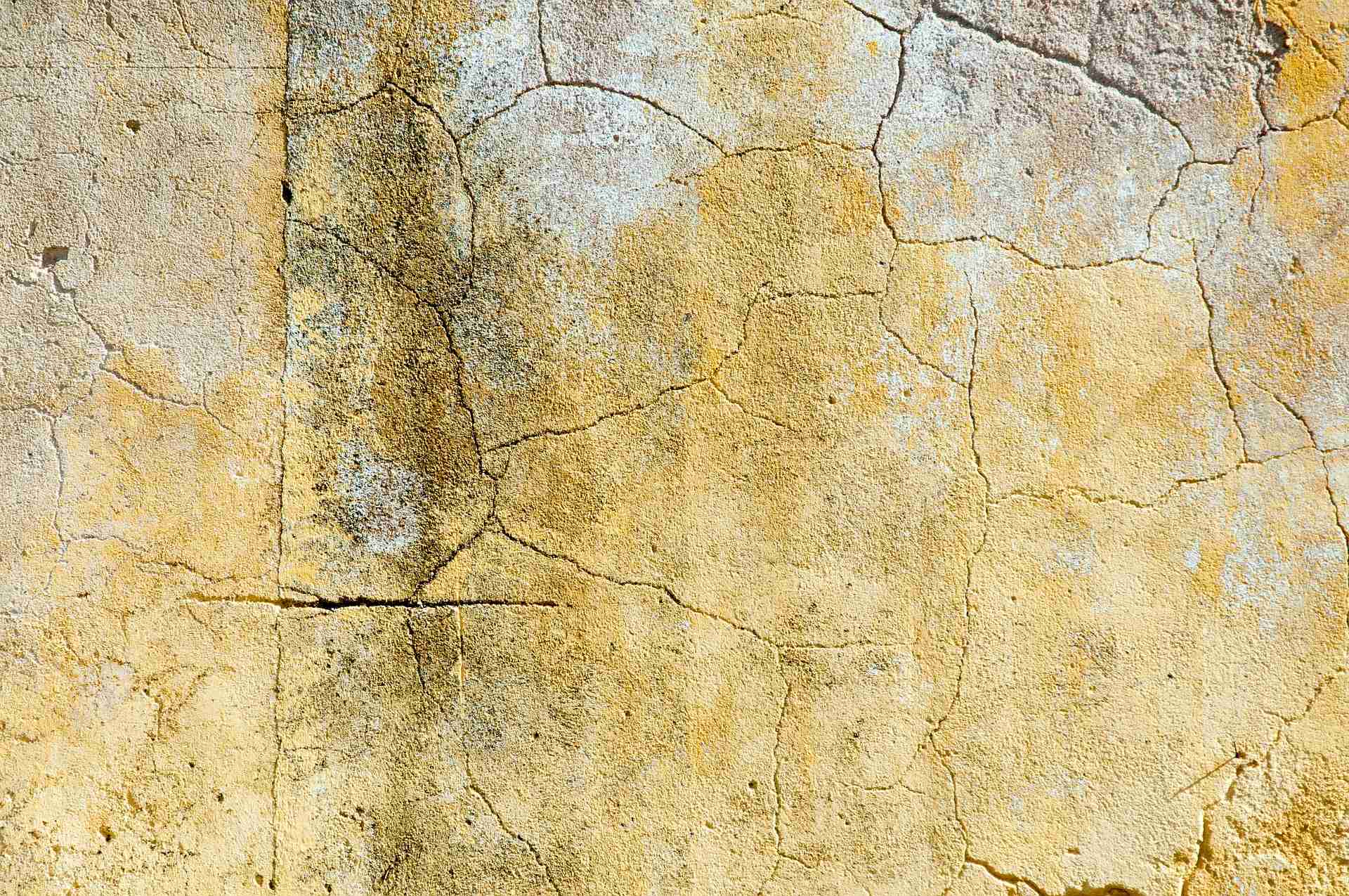 fissures ouvrage fissures ouvrage