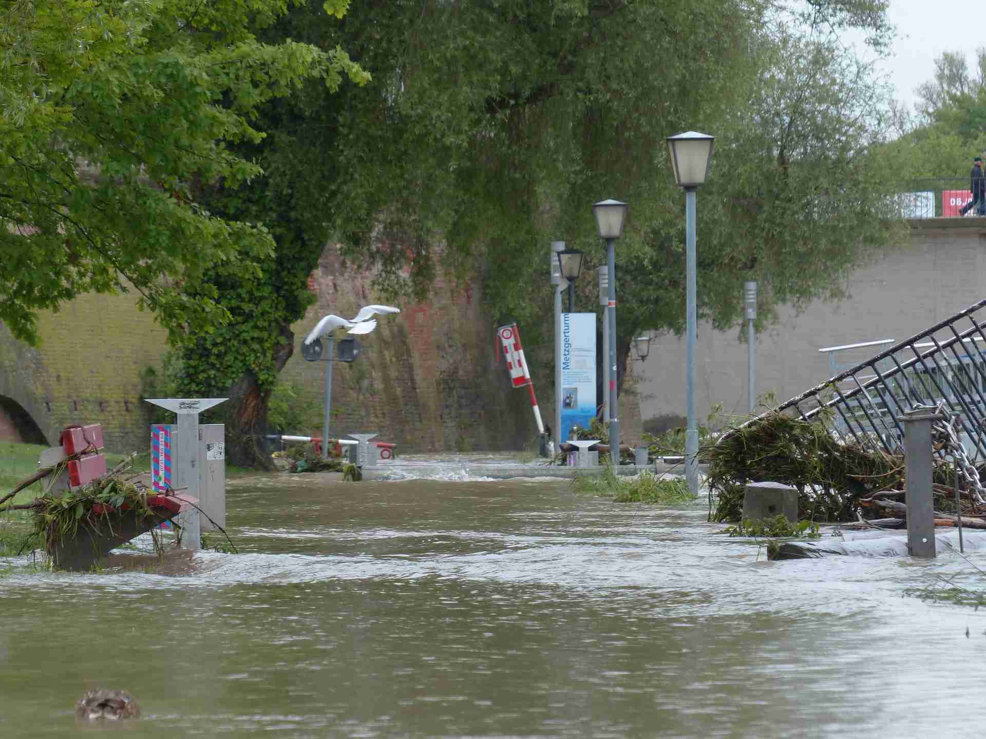 L'indemnisation suite à une tempête tempête indemnisation