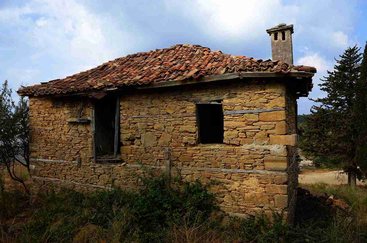 arbres constructions fissures