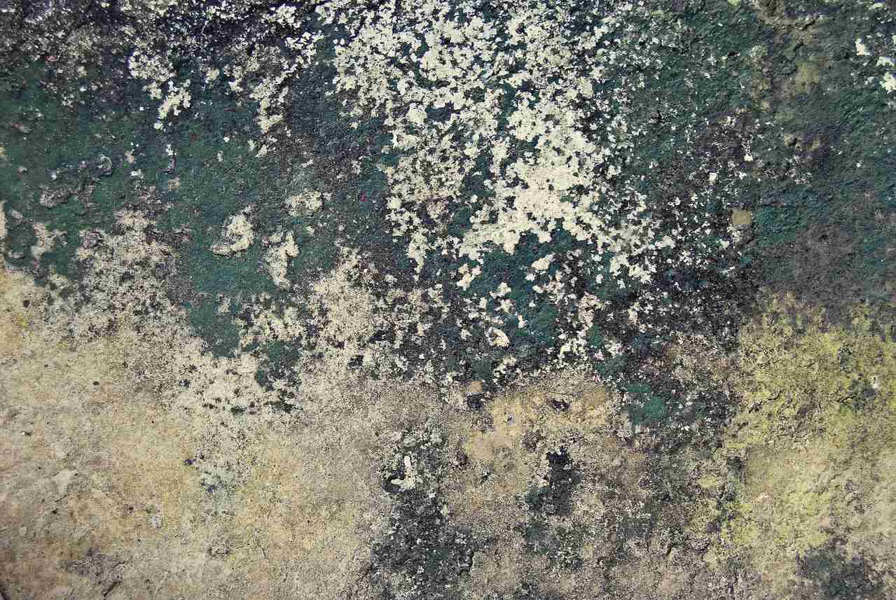 idées reçues origines fissures