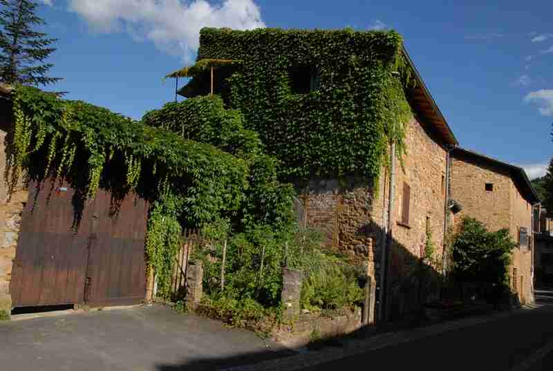 valeur immobilière Couzon-au-Mont-d'Or
