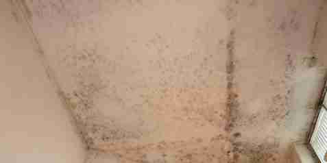 polluants nuisant qualité air intérieur