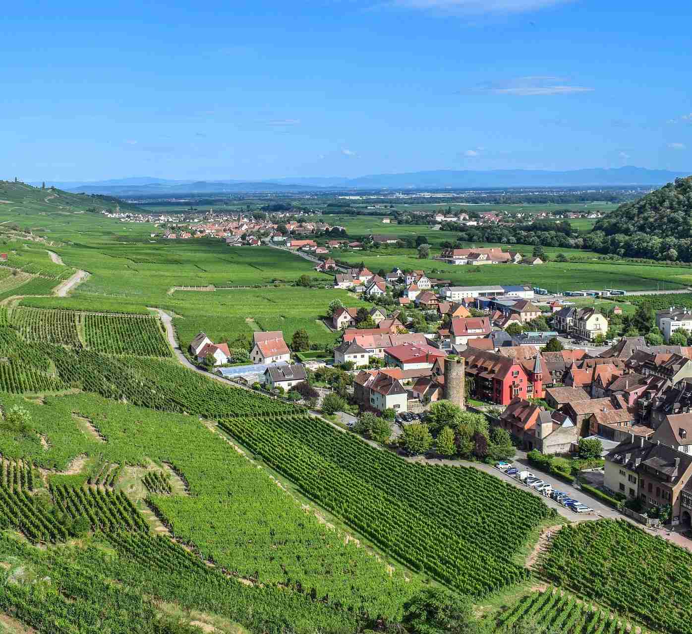 expertise immobilière Vosges