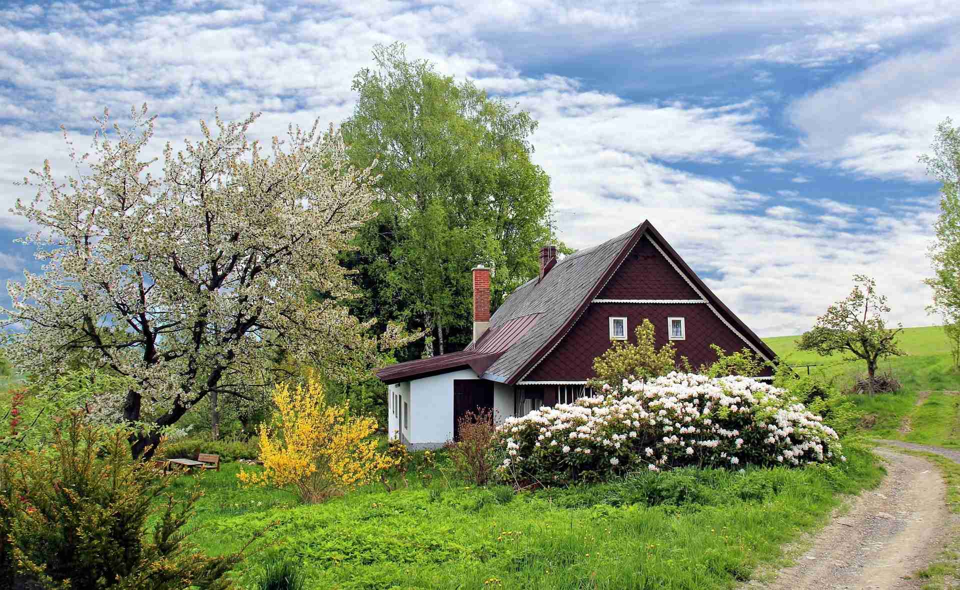 distance arbre maison distance arbre maison
