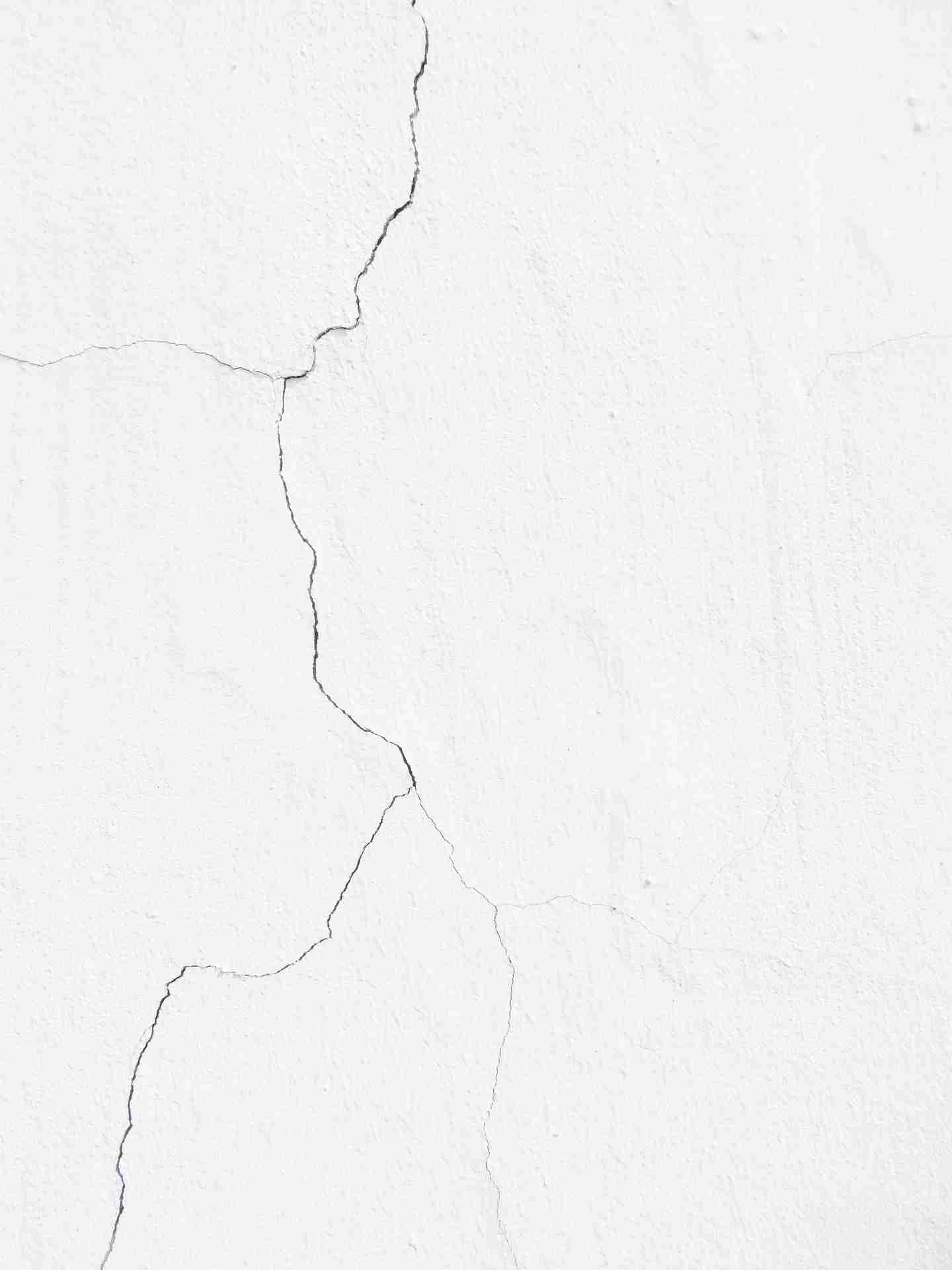 fissure lézard